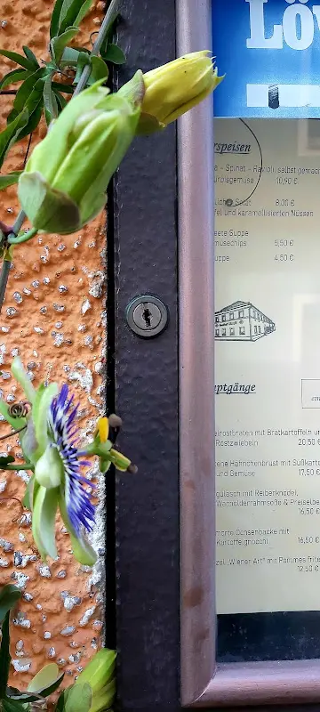 Menu_Gasthof Geier_Donau_image_2