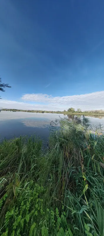 Krisztian Horvath_Gasthof Pflamminger_Donau_review