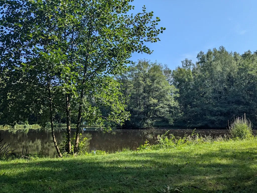 Tiago Machado_Fischerhütte Beuren - Patrick Kohlhaas_Beuren_review