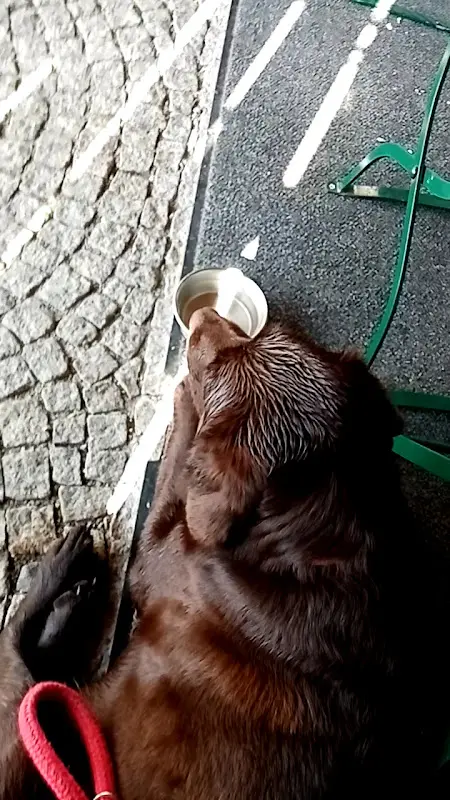 Altbayrische Schmankerlstube_Zwiesel_slider_image_2