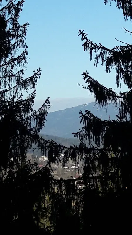 Gasthaus Tröpplkeller_Zwiesel_slider_image_3