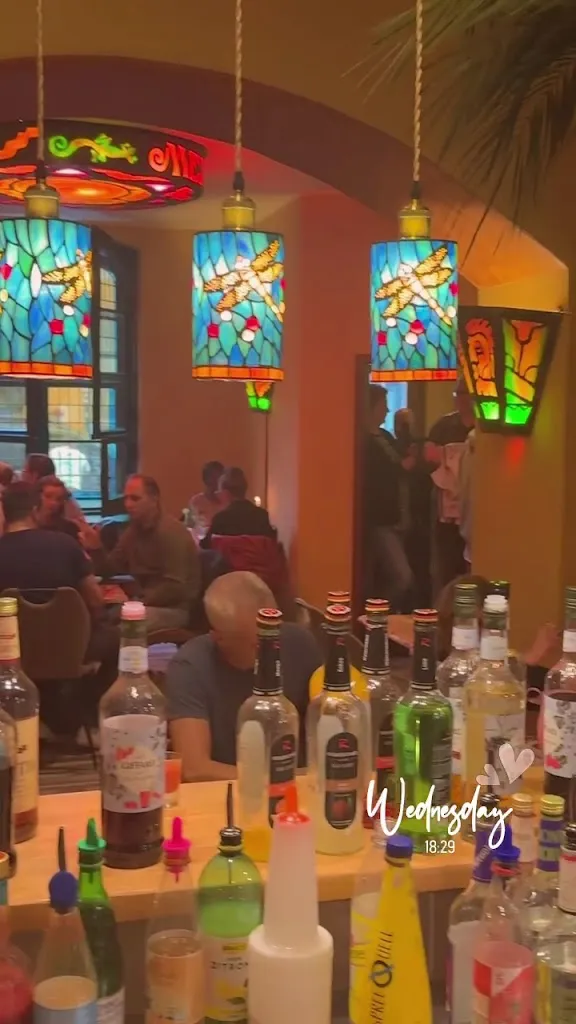 Schwarzer Adler „Milagro“_Berlin_slider_image_2