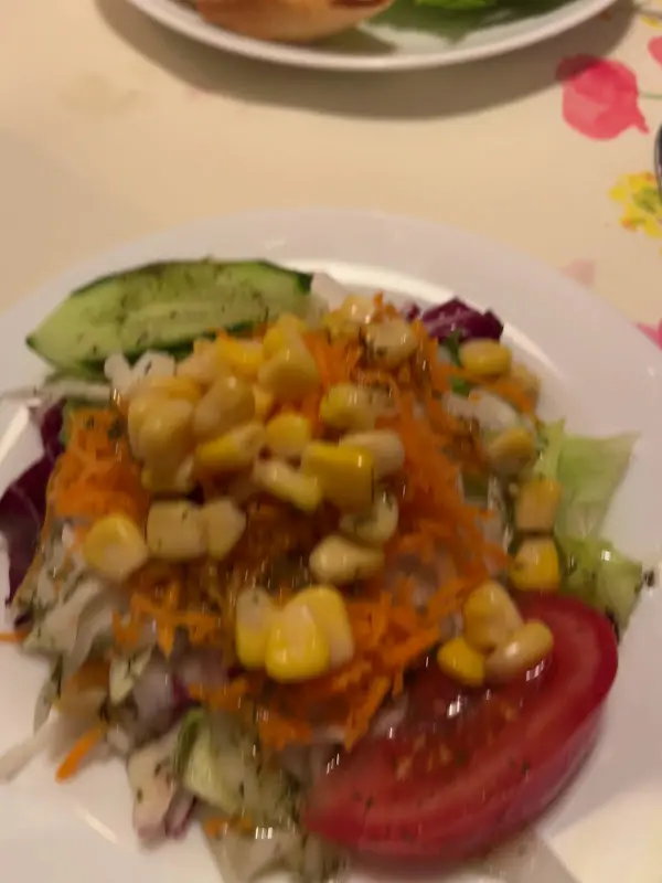 Croatia_Berlin_slider_image_2