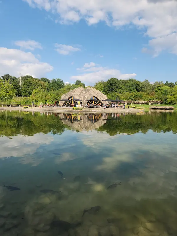 sandra atallah_Seestar of Britz_Berlin_review