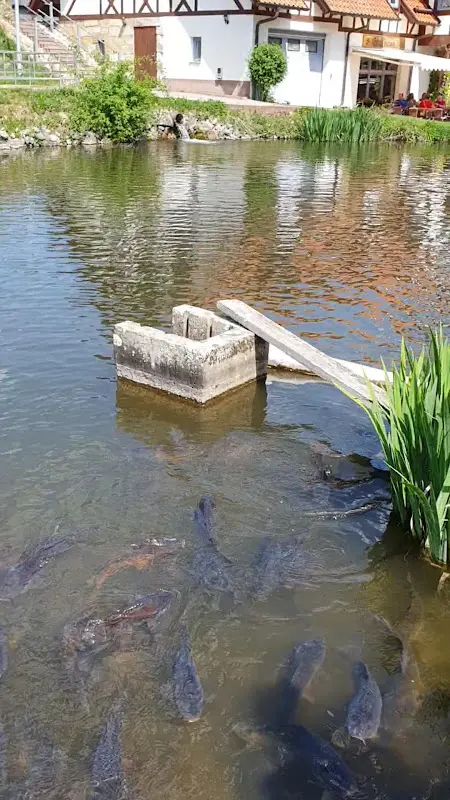 Zum Klosterfischer_(Harz)_slider_image_2