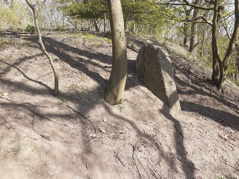 Am Falkenberg restaurant à Hamburg