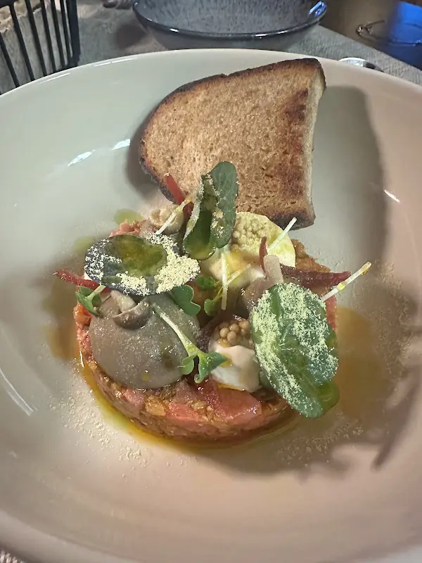 Madalina Tarkowian_Sawito_Falkensee_review