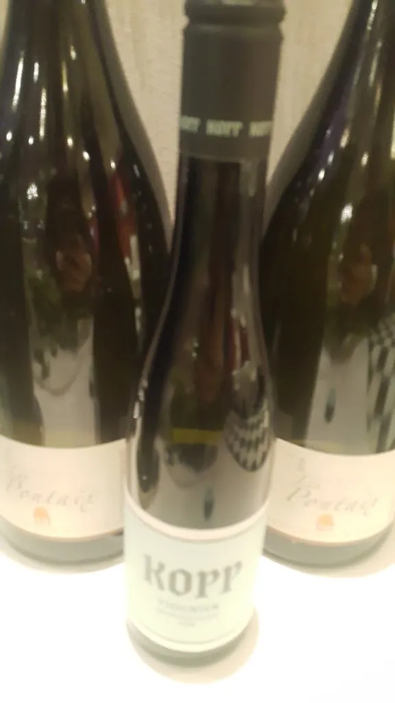 Menu_Le Jardin de France_Baden-Baden_image_9