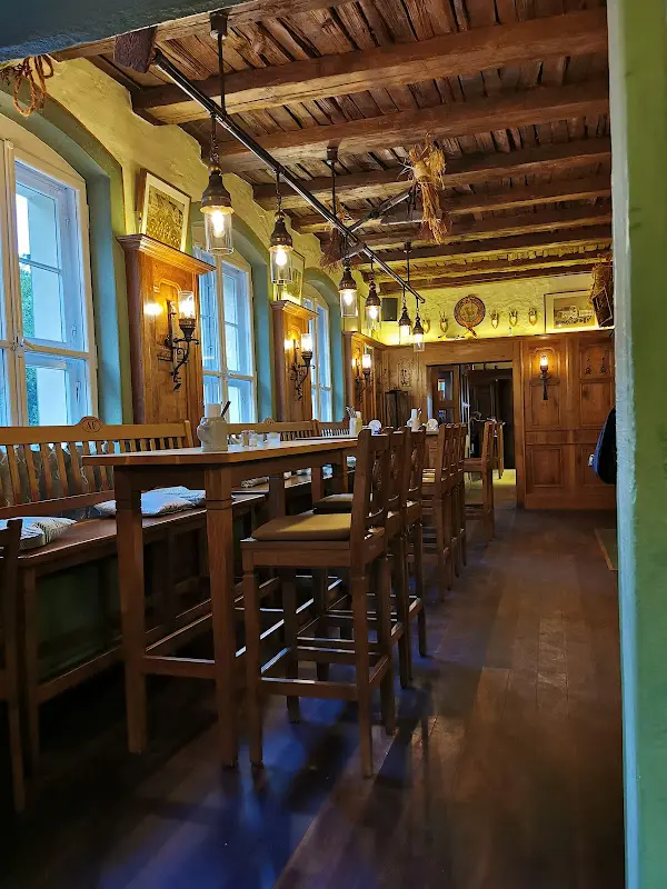 Ruxandra Vitale_Krumme Linde im Alten Fritz - Tegel_Berlin_recensione