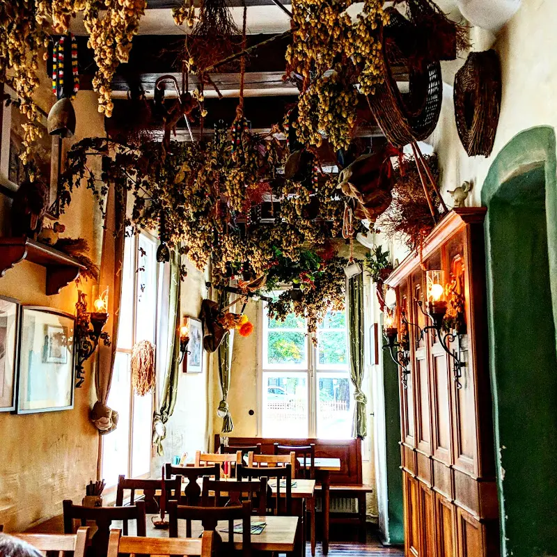 Ian Davies_Krumme Linde im Alten Fritz - Tegel_Berlin_recensione