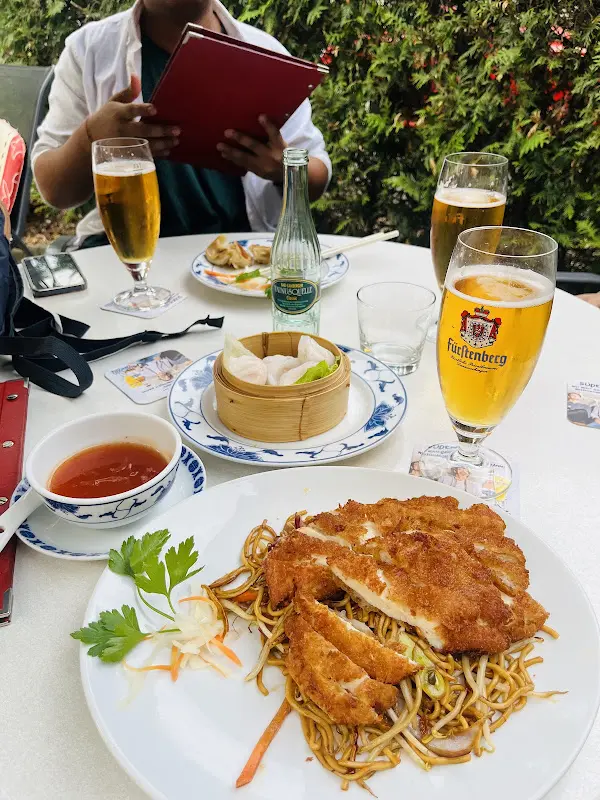 Tushar Malviya_Pong's China-Restaurant_Berlin_review