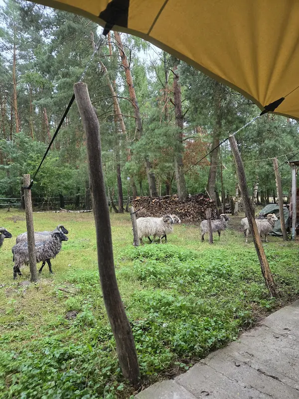 Bistro Le Mouton_Berlin_slider_image_3