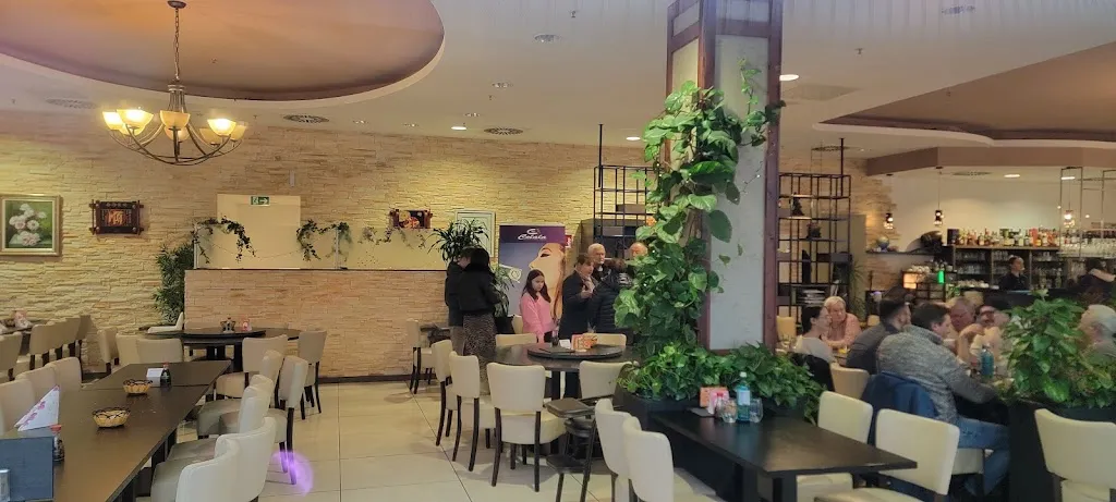 HaSan AkAy_Colala_Baden-Baden_recensione