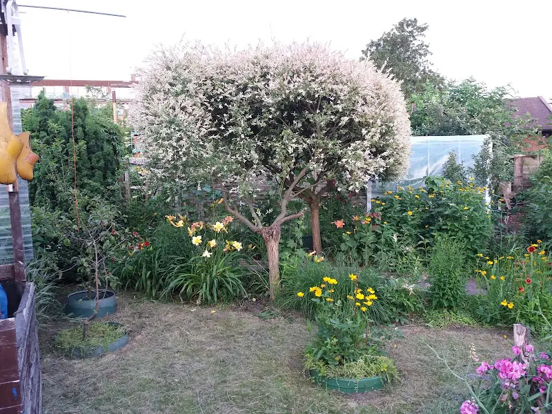 Gartenlokal Alte Baumschule_Berlin_slider_image_3