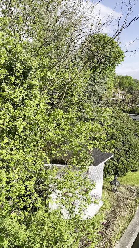 New Venice_Berlin_slider_image_2