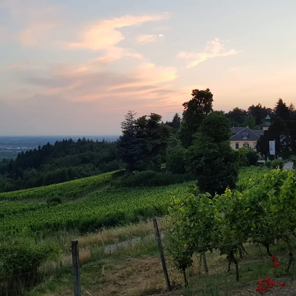 Michael Hofmann_Restaurant Klosterschänke_Baden-Baden_review