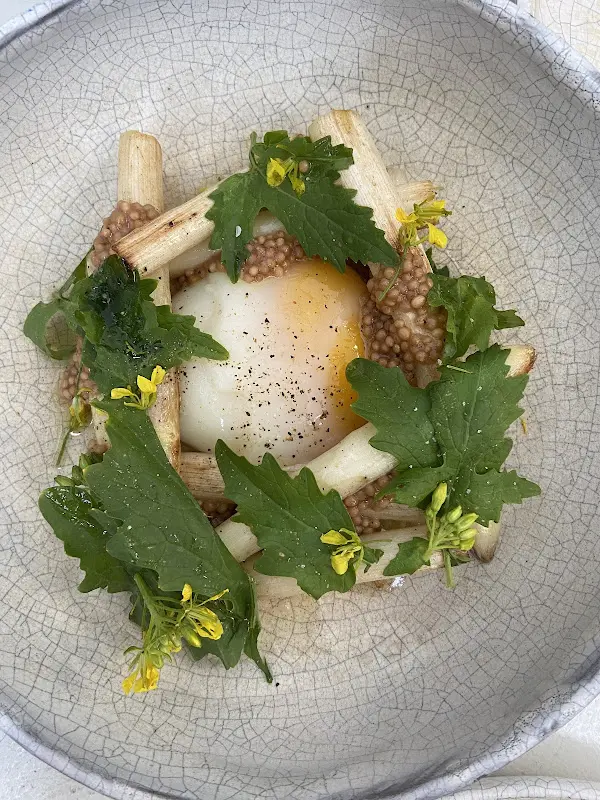 Nora Goldhammer_EZSRA_Berlin_review