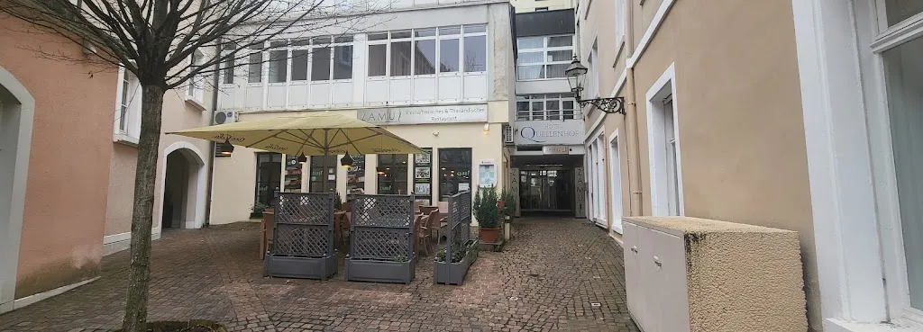 Medic A_Zamui_Baden-Baden_review