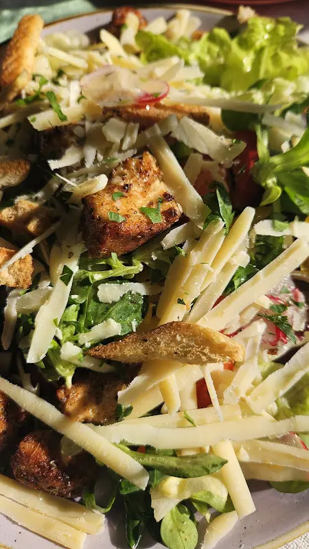 V “V. R.” R_Der Österreicher in Staaken_Berlin_reseña