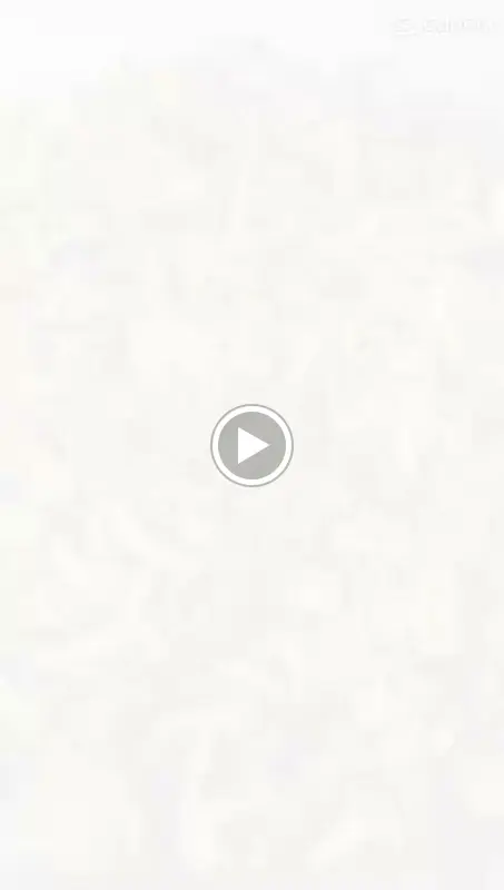 Schaukelpferd GmbH_Berlin_slider_image_2