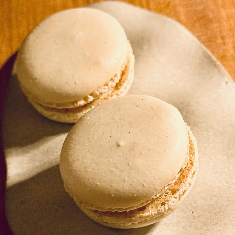 Fred Tsui_FAELT_Berlin_review