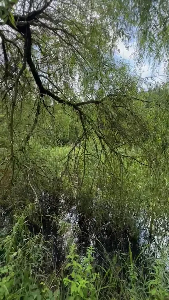 Herrenmühle_Adelberg_slider_image_2