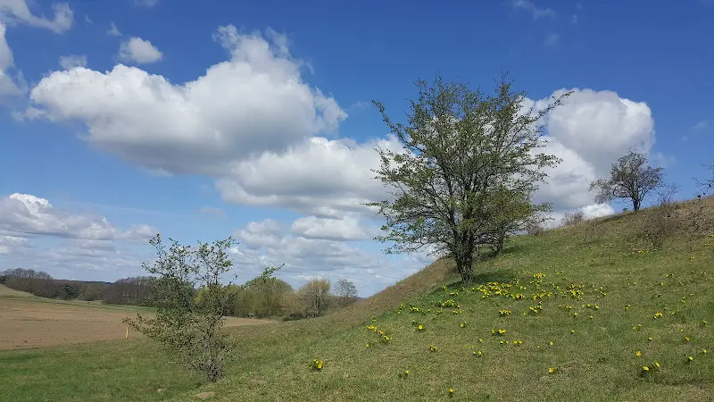 Gaststätte Adonisröschen restaurant in Mallnow