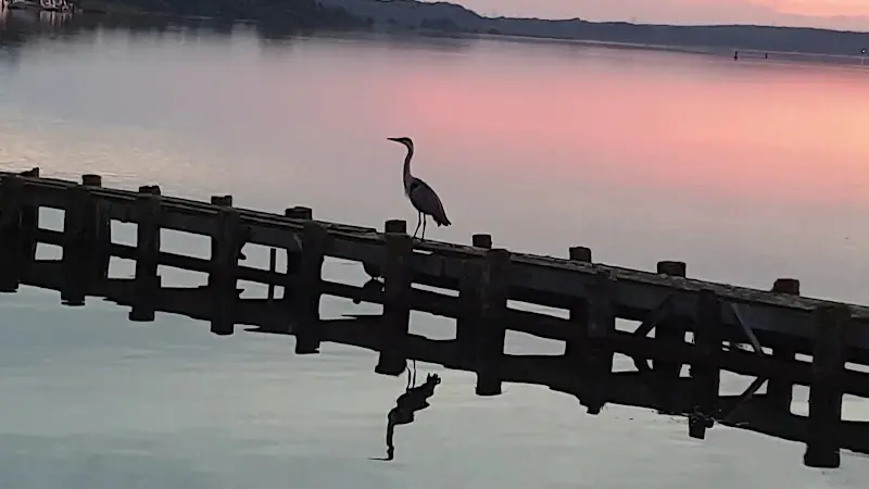 Seewirtschaft am Fleesensee_Göhren-Lebbin_slider_image_2
