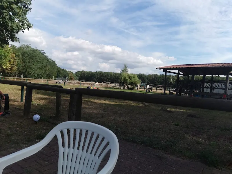 Nicole Wiese_Bistro “zur Pferdeschenke“_Altlandsberg_review