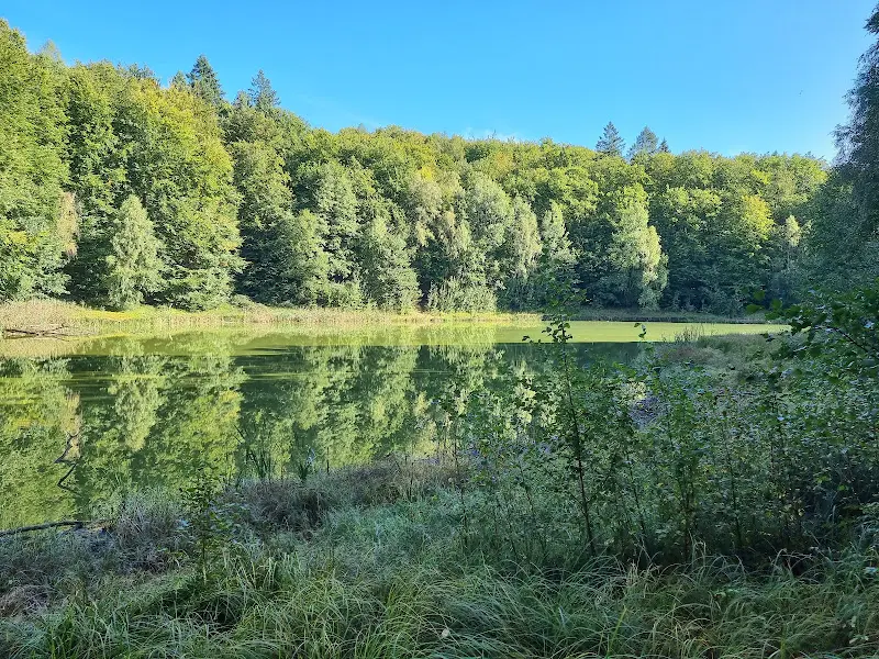 Valentin Naïdja_Waldschenke am Baa-See_(Oder)_review
