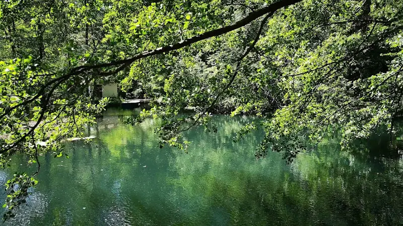 Springbach-Mühle Belzig OHG_Belzig_slider_image_2
