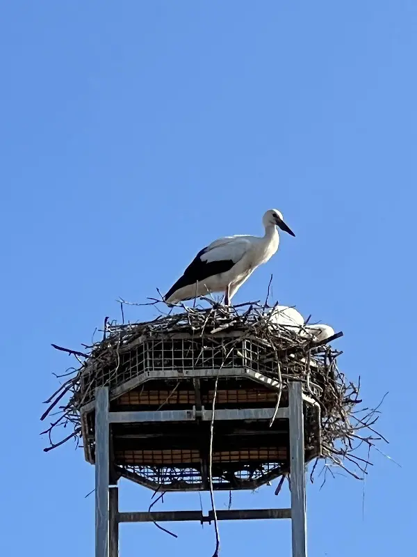 Christian Ratzek_Hotel Alter Brauhof_Belzig_reseña
