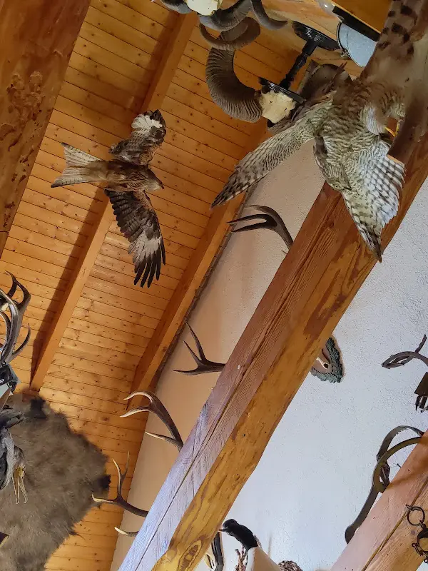 Don Kasch Neida_Keilerschänke_Liebenwerda_review