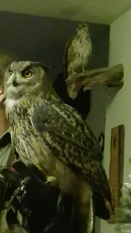 Howe Inh. Christel Kurz_Angermünde_slider_image_2