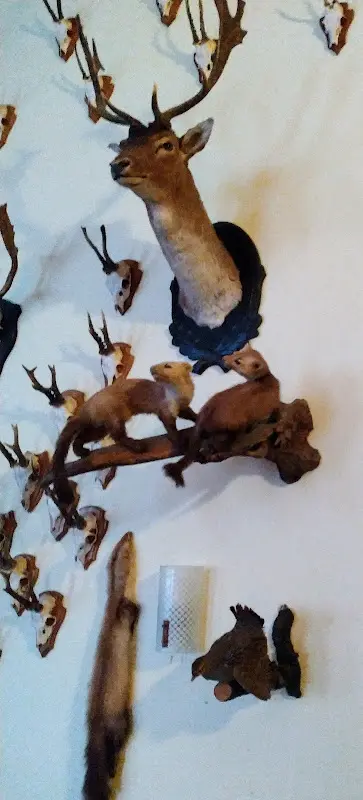 Howe Inh. Christel Kurz_Angermünde_slider_image_3