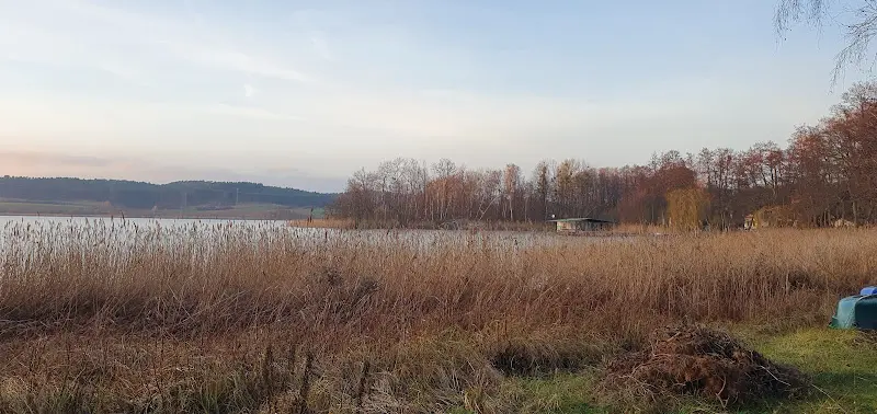 Danielle Giersberg_Restaurant u. Pension Seeterrasse_Chorin_review