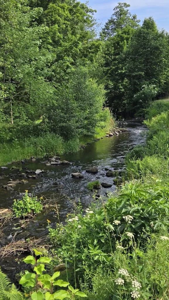 Sean Reyes_Flößer-Schänke Baiersbronn_Baiersbronn_avis