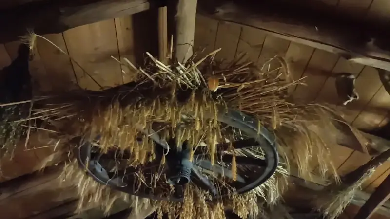 Germanisches Langhaus_Beeskow_slider_image_2