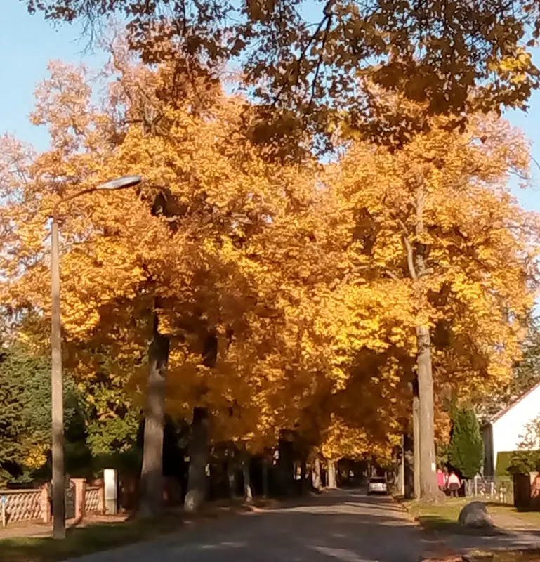 Lindenhof Pätz_Bestensee_slider_image_2