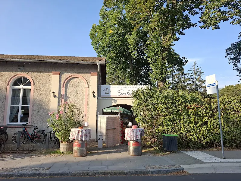 Jana_Salvia_Neuendorf_review