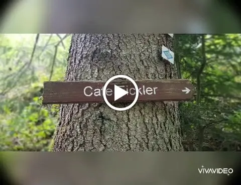 Landhaus Eickler_Baiersbronn_slider_image_2