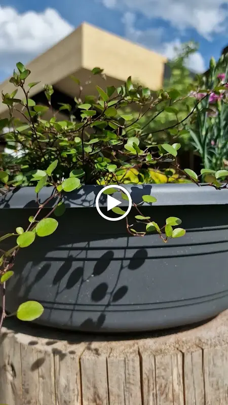 Oberreit Grillstodl_Austria_slider_image_2