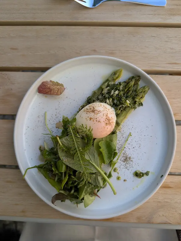 Julia Balyazina_Zemlin – Essen bei Freunden_Havel_review