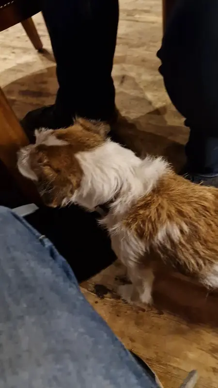 Restaurant Parduin_Havel_slider_image_2