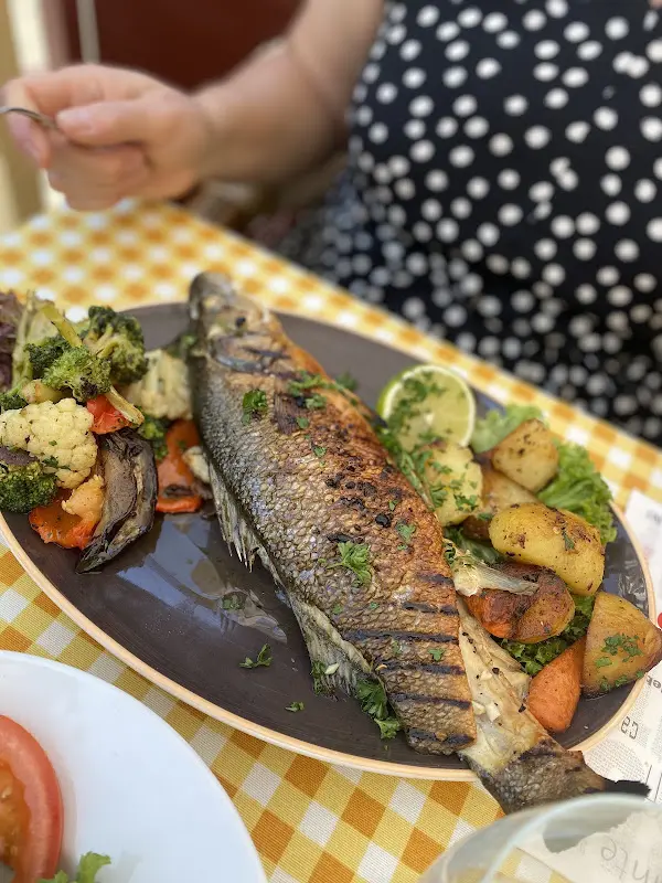 L. Pelz_Trattoria Del Corso_Havel_review