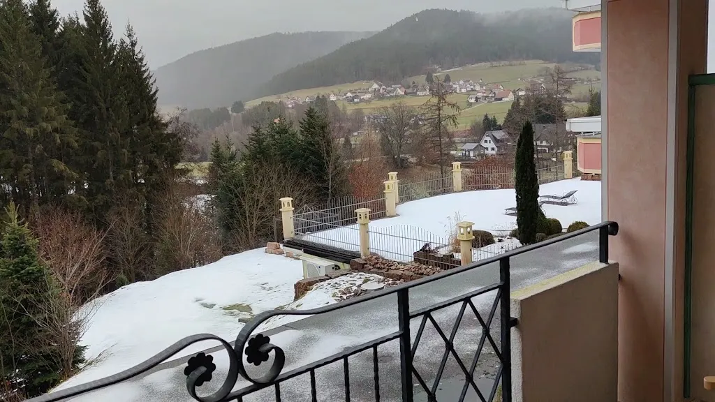 Hotel Ailwaldhof Parkhotel & Spa_Baiersbronn_slider_image_2