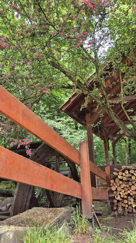 K. Thom_Koselmühle_Kolkwitz_recensione