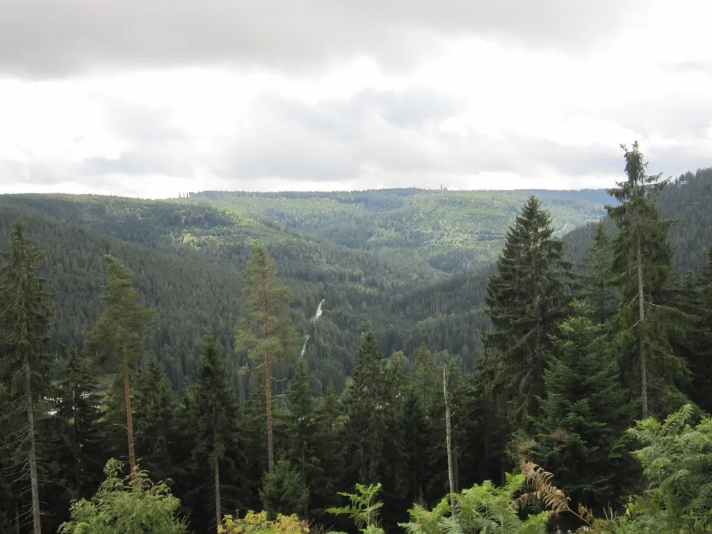 Schützenhaus Mitteltal_Grub_slider_image_3