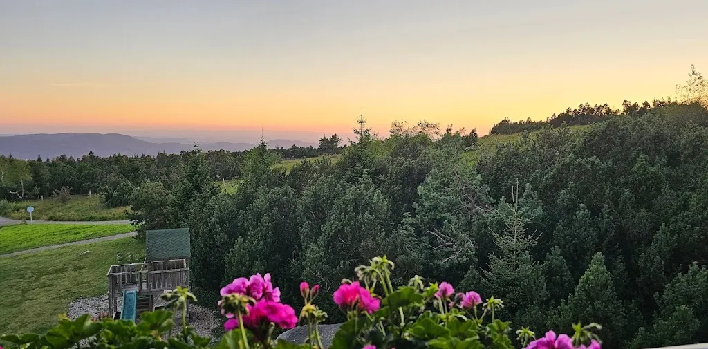 Restaurant Schliffkopf_Baiersbronn_slider_image_2