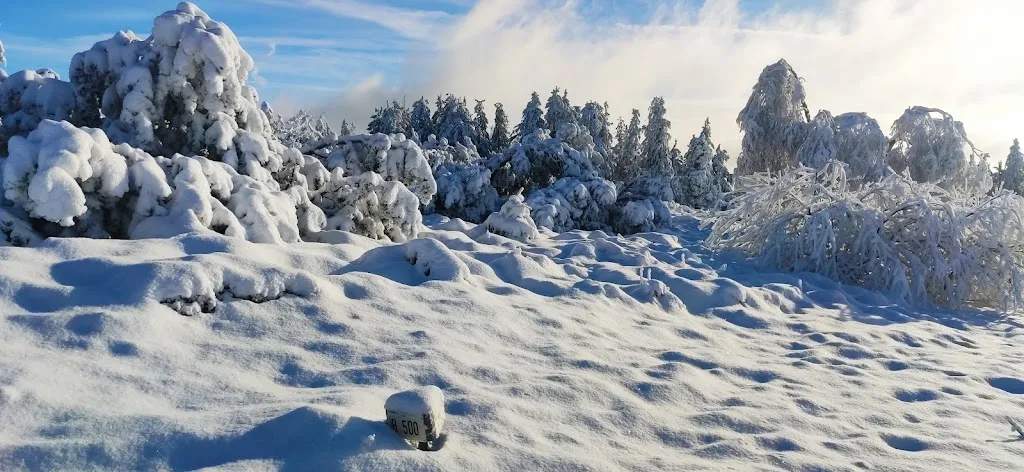 Restaurant Schliffkopf_Baiersbronn_slider_image_3